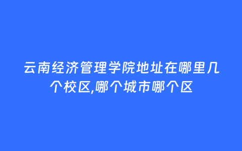 云南经济管理学院地址在哪里几个校区,哪个城市哪个区